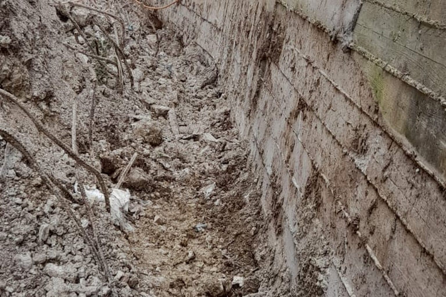 זיפות גגות: המדריך המקצועי המלא לבחירה, ביצוע ותחזוקה נכונה